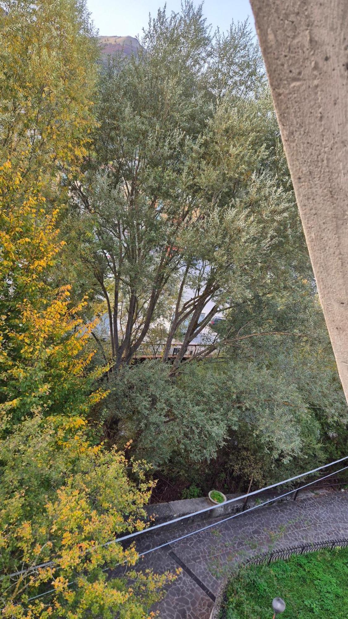 Ferienwohnung Zia Peppa Castel Di Sangro Exterior foto